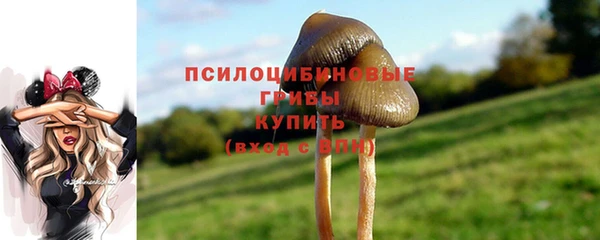 COCAINE Белокуриха