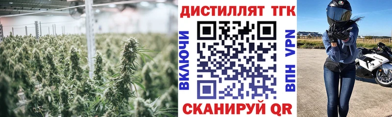 ТГК жижа Купить закладки Жердевка
