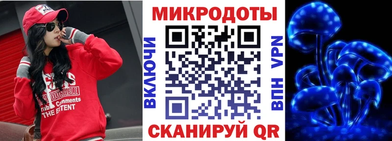 Купить где  Жердевка  Псилоцибиновые грибы MAGIC MUSHROOMS 